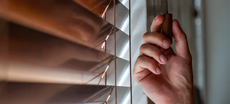 Double Roller Blinds in Midway, FL