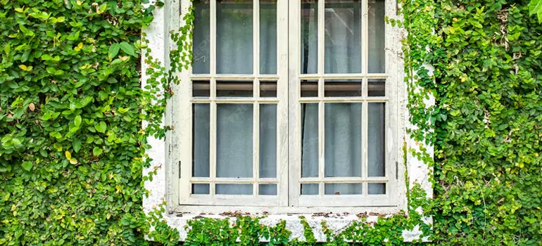 Garden Window Repair Near Me in Midway, FL