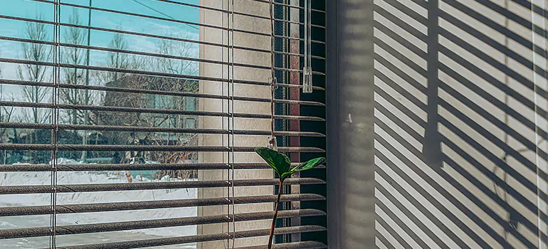 Commercial Window Blinds in Midway, FL