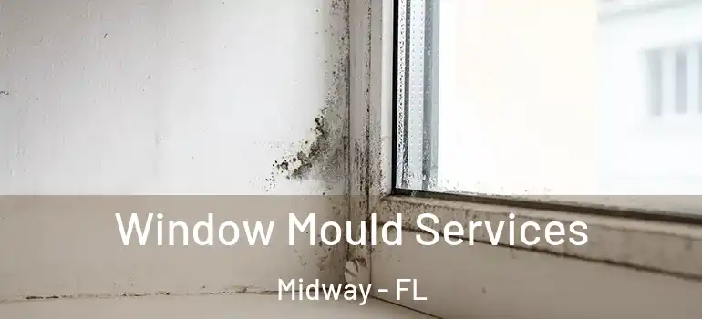 Window Mould Services Midway - FL